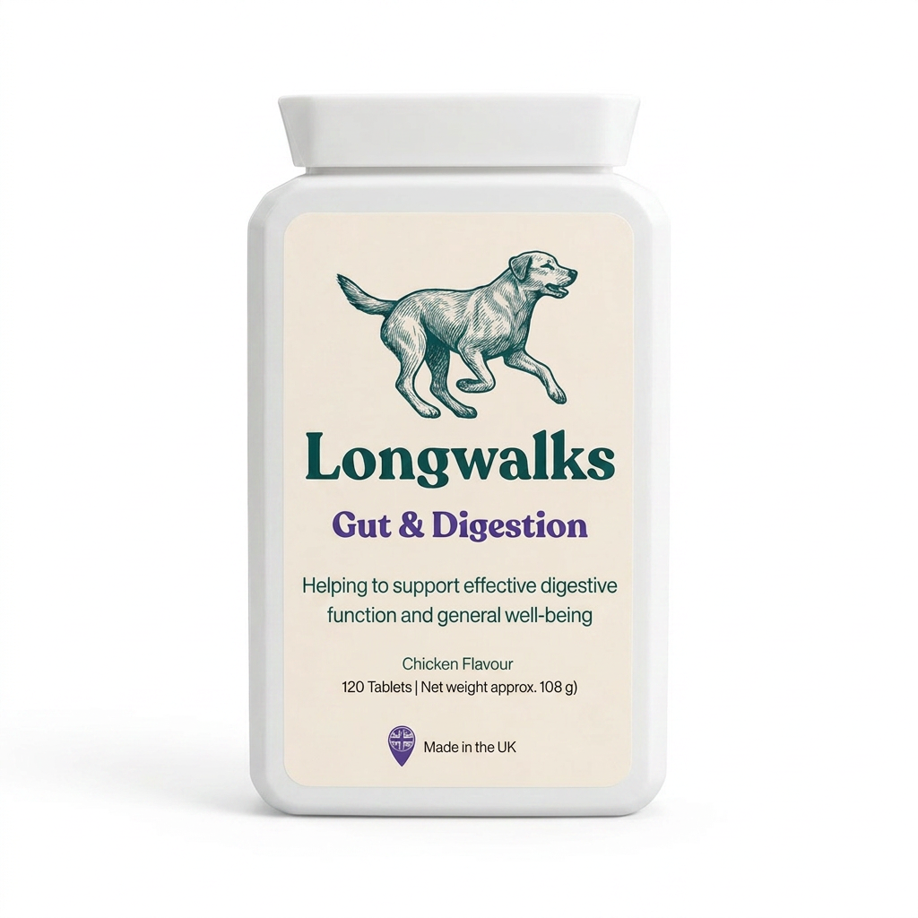 Longwalks Gut & Digestion